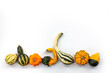 Collection of gourds aligned on white background with copy space. Fall, halloween and Thanksgiving still life decor