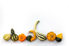 Collection Of Gourds Aligned On White Background With Copy Space. Fall, Halloween And Thanksgiving Still Life Decor