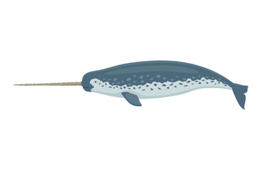 Wall Mural - Narwhal with a horn