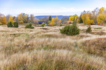 Wall Mural - View at an old grave field from the iron age in autumn