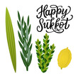 Happy Sukkot lettering poster with handwritten text and four species (lulav, etrog, hadas, arava)