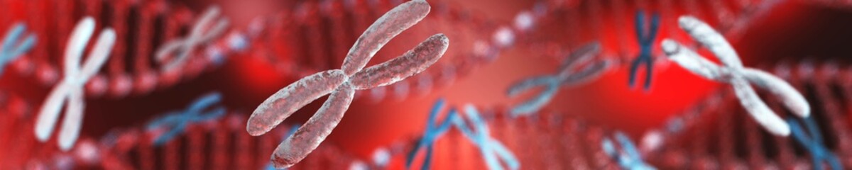 Wall Mural - Chromosome, X chromosome, human gene, heredity, chromosome on a blurred background, 3D rendering