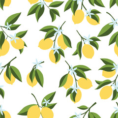 Wall Mural - Seamless pattern of hand drawn lemon branch. Floral print. Sketch Exotic tropical citrus fresh fruit, lemons with leaves and flowers. Vector cartoon minimalistic style illustration. Cute Doodle