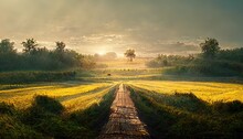 Summer Landscape With A Road And Endless Fields At Sunset 3d Illustration