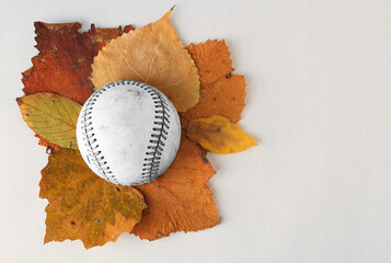 Canvas Print - Fall ball with baseball and autumn leaves, copy space on background.