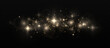 Bright dust. Festive golden luminous background with colorful lights bokeh. Sparkling magical dust particles. The dust sparks and golden stars shine with special light on a black background.