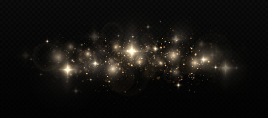 Wall Mural - Bright dust. Festive golden luminous background with colorful lights bokeh. Sparkling magical dust particles. The dust sparks and golden stars shine with special light on a black background.