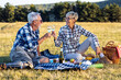 © pucko_ns - Senior couple in nature enviroment drink vine and make picnic on blanket with food, relaxed and fun