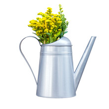 Decorative Metal Watering Can With Yellow Wildflowers Isolated