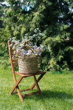 Flowers In Wicker Basket On Chair Outdoors At Summer