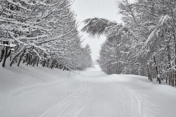 Canvas Print - Winter Snowy Mountain Road Landscape