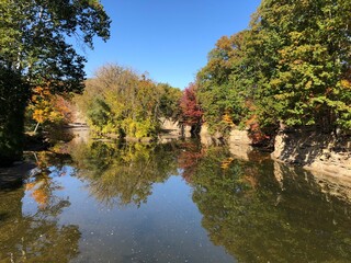 autumn in the park