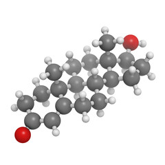 Poster - Testosterone male sex hormone, molecular modelTestosterone male sex hormone, molecular model