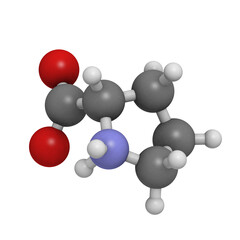 Poster - Proline (Pro, P) amino acid, molecular model.