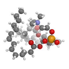 Wall Mural - Phosphatidylcholine (PC) cell membrane building block, molecular model