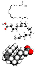 Wall Mural - Omega-6 unsaturated fatty acid (linoleic acid, LA), molecular model.