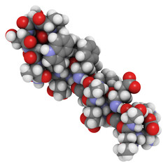 Wall Mural - Exendin-4 (exenatide) molecule, chemical structure