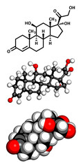 Canvas Print - Cortisol (hydrocortisone) stress hormone, molecular model