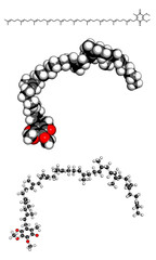 Wall Mural - Coenzyme Q10 (ubiquinone), molecular model