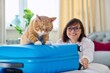 © Valerii Honcharuk - Sad ginger cat lying on suitcase of owner middle-aged woman