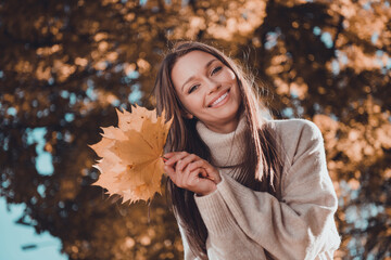 Sticker - Photo of cheerful sweet lovely lady girlfriend wear stylish pullover beaming smile enjoy sunset atmosphere good mood free time outdoors