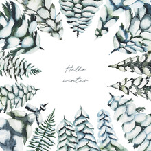 Card Template With Watercolor Snowy Fir Trees, Winter Forest Background Hand Drawn On White Background, Greeting Card Template