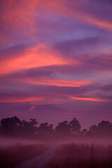 A foggy dawn at Jim Corbett National Park grasslands with brilliantly colourful skies