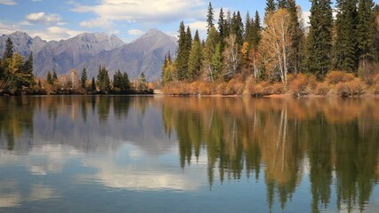 Wall Mural - close-up view of clear water and small ripples of irkut river with yellowed trees on shore and the m