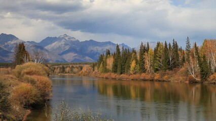 Wall Mural - autumn landscape with yellowed bushes and forest along banks of irkut river against backdrop of moun