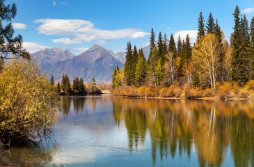 Wall Mural - beautiful autumn calm landscape with the eastern sayan mountains and yellowed trees on the banks of 