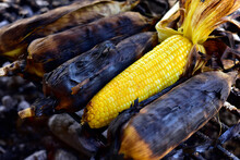 Freshly Boiled Or Grilled Sweet Corn On The Cob Sprinkled With Salt And Spices. Popular Turkish Street Food. Grilled Corn Cobs On A Coal Grill