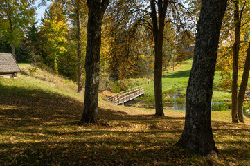 Wall Mural - autumn landscape with trees