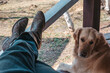 A Golden Retriever lies near a man on the houses terrace. A cowboy in western boots sits with a dog at the entrance of a farmhouse.