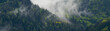 Leinwandbild Motiv Amazing mystical rising fog forest trees landscape in black forest ( Schwarzwald ) Germany panorama banner - Dark mood