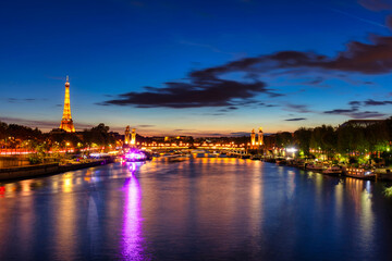 Wall Mural - The Pont Alexandre III bridge in Paris by the Seine river at night. France