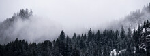Amazing Mystical Rising Fog Sky Forest Snow Snowy Trees Landscape Snowscape In Black Forest ( Schwarzwald ) Winter, Germany Panorama Banner - Mystical Snow Mood