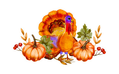 Autumn watercolor turkey animal pumpkin day dinner fall harvest holiday illustration, leaf November thanksgiving card.