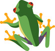 Exotic Frog Reptile Amphibian illustration