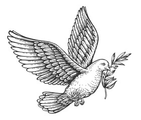 Flying peace dove with olive branch. Spiritual purity symbol sketch. Vector illustration in vintage engraving style