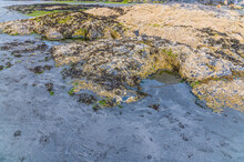 A View Of A  Rock Pool On The Beach At Low Tide At Newport, Pembrokeshire, Wales On A Summers Day