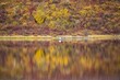Yukon in Canada, wild landscape, reflection on the lake
