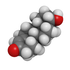 Poster - Testosterone male sex hormone, molecular modelTestosterone male sex hormone, molecular model