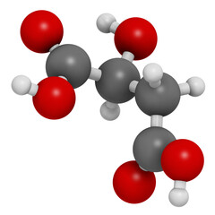 Poster - Malic acid organic dicarboxylic acid molecule. Naturally present in all living organisms, and used as food additive. 3D rendering.