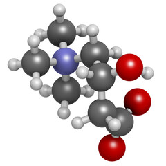 Wall Mural - Carnitine molecule, chemical structure. Often found in nutritional supplements. Natural food sources include red meat and dairy products. 3D rendering.