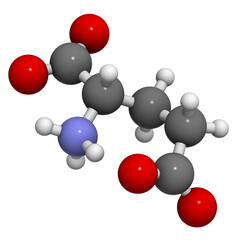 Sticker - Glutamic acid (Glu, E, glutamate) amino acid, neurotransmitter and umami flavor component, molecular model.