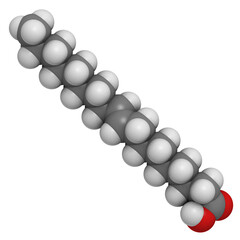 Wall Mural - Elaidic acid trans fatty acid, molecular model