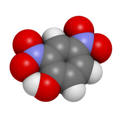 Canvas Print - 2,4-Dinitrophenol (DNP), molecular model