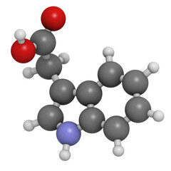 Wall Mural - Auxin (indole-3-acetic acid, IAA) plant growth hormone, molecular model