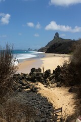 Poster - Vertical shot of the beautiful coast of the Cacimba do Padre beach in Brazil with splashing waves