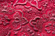 © Milou Dirks - red and pink fabric texture background with embroided pattern